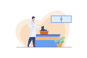 Veterinarian examining a small dog illustration