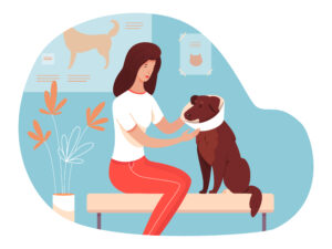 Dog owner at veterinary clinic illustration