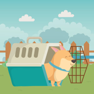 Dog resting inside a cozy crate illustration
