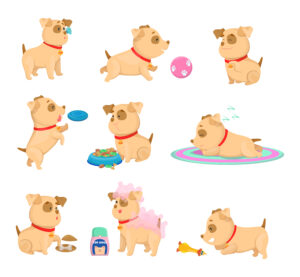 Puppy potty training daily routine illustration