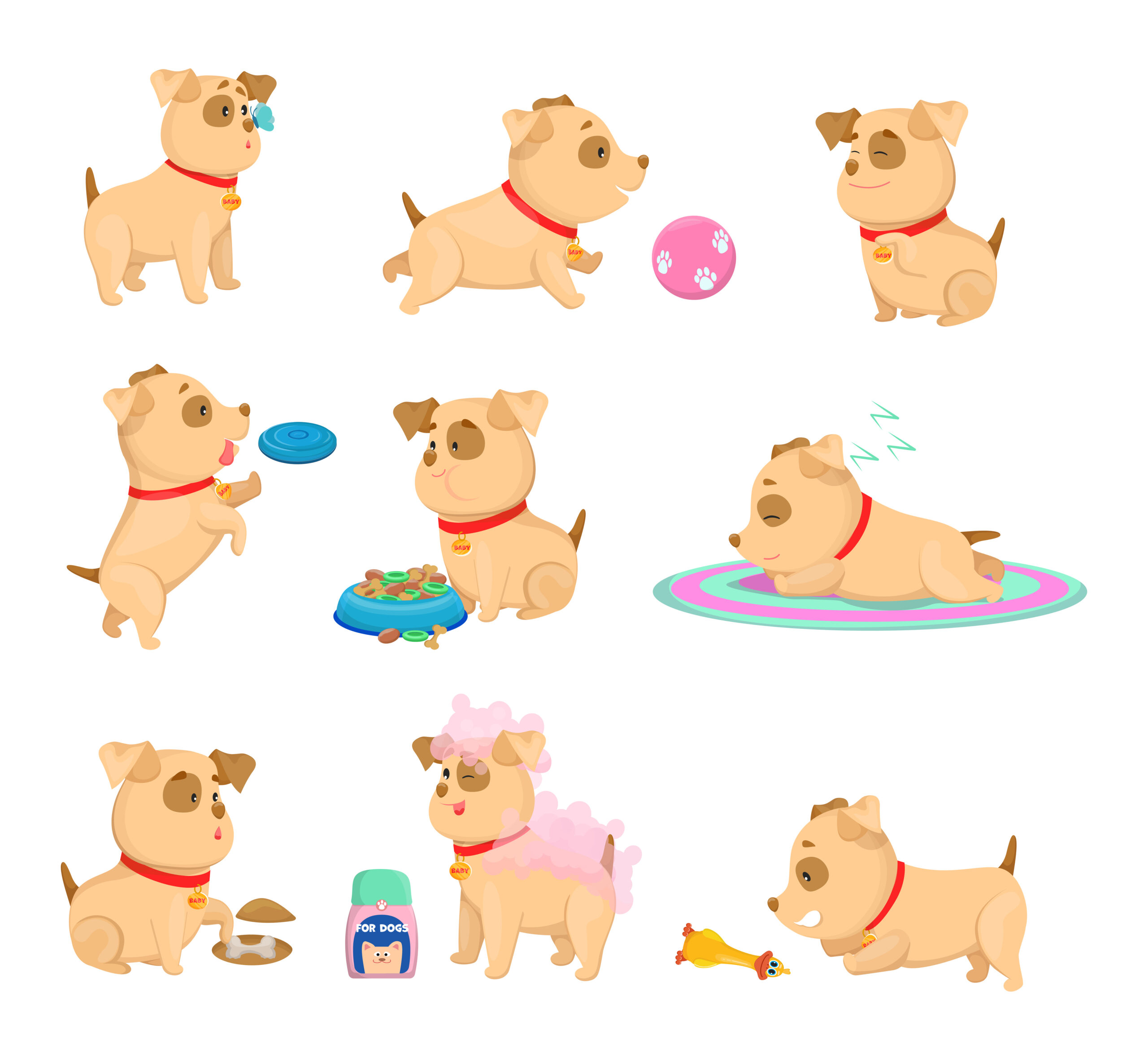 Puppy potty training daily routine illustration