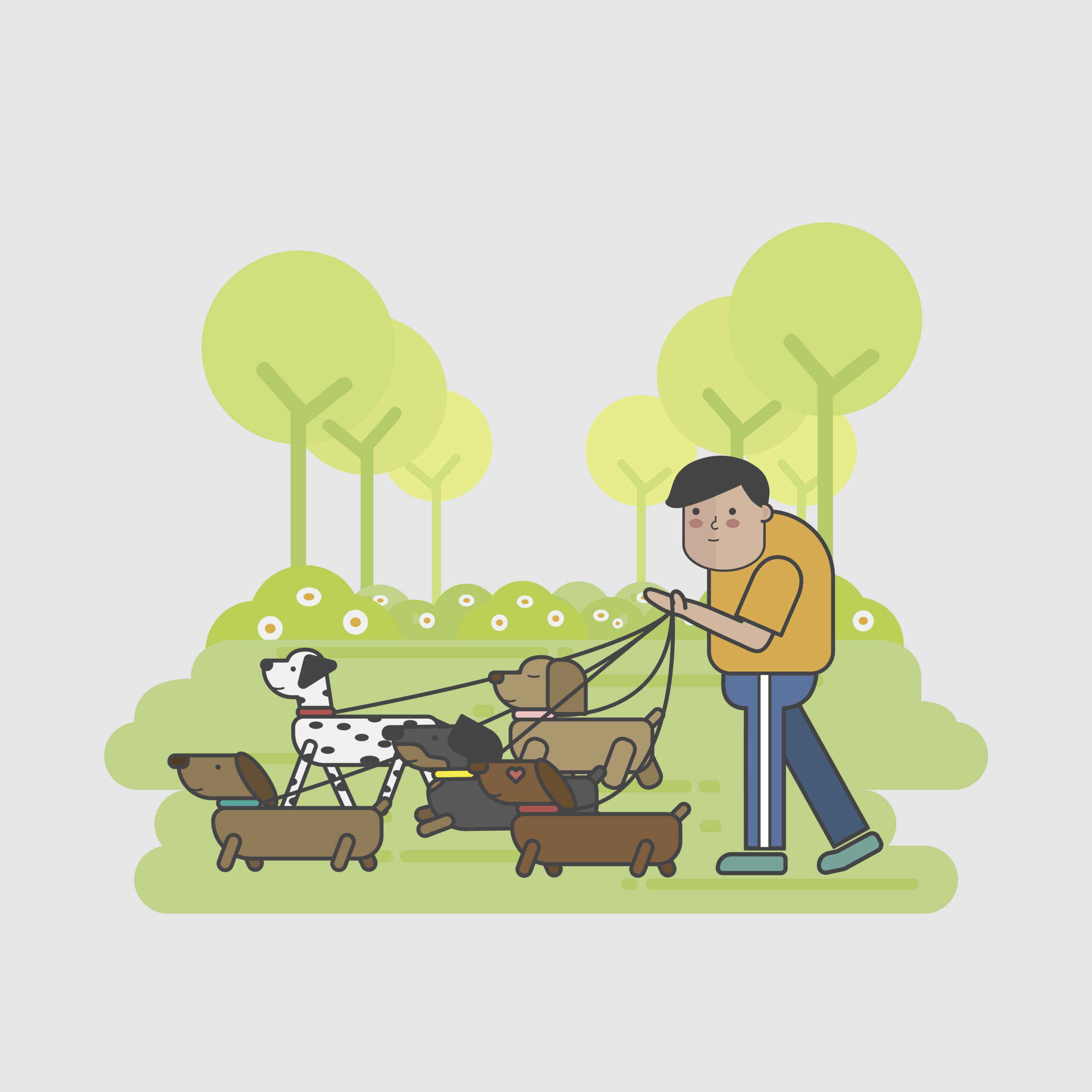 Person walking multiple dogs together illustration