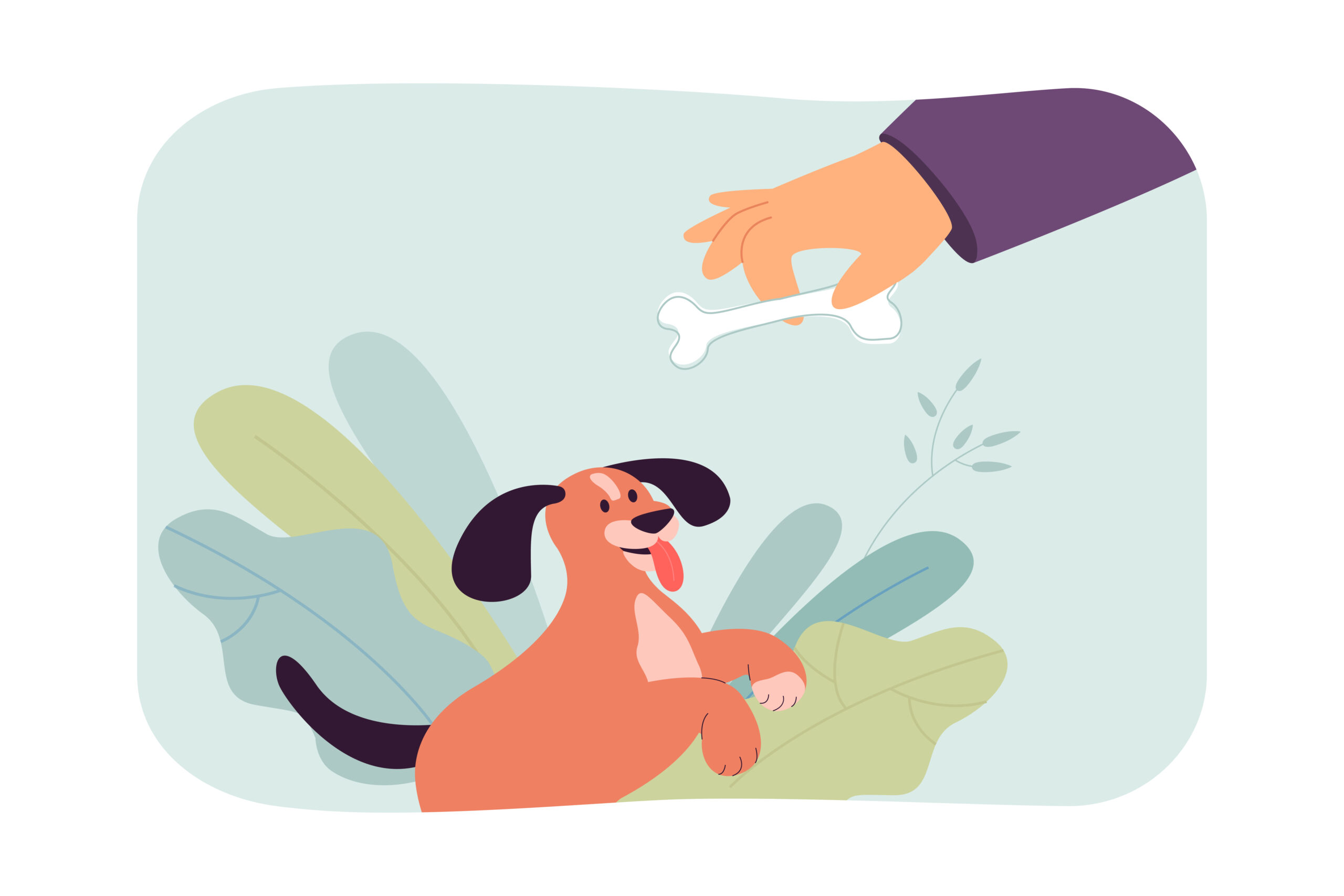 Owner rewarding dog with a treat illustration